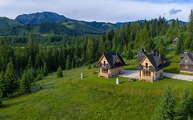 Niedźwiedź nad Chochołowską